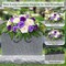 Headstone Flower Saddle with Realistic Peony & Rose - Purple Artificial Cemetery Flowers for Grave - UV Resistant Weatherproof Memorial Day Grave Decorations - Secure Fit Tombstone Arrangement